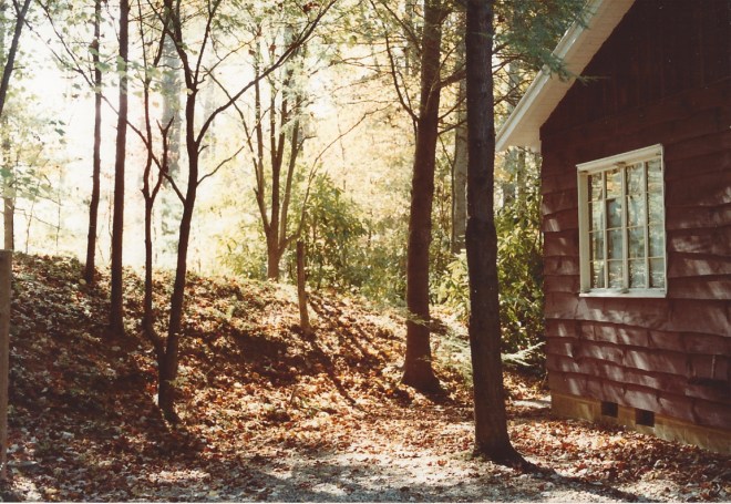 Side of house winter view
