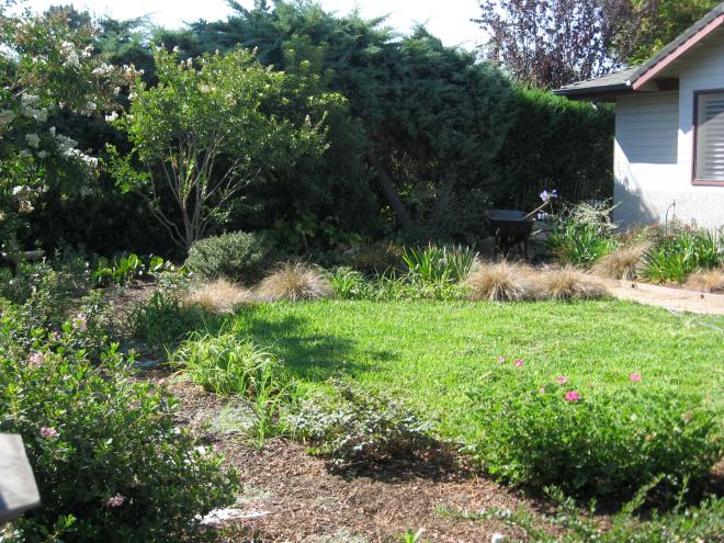 St. Augustinei green and lush